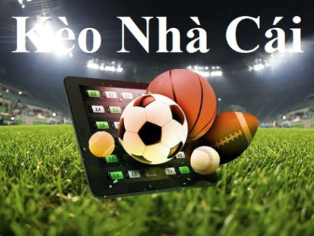 Tải Game Đào Vàng Miễn Phí Về Máy Điện Thoại B8B