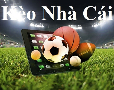 Tải Game Đào Vàng Miễn Phí Về Máy Điện Thoại B8B